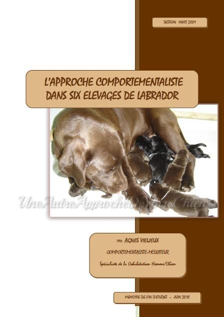 Agnès Vieljeux - another approach your dog - routes Agnès Vieljeux - another approach your dog - routes